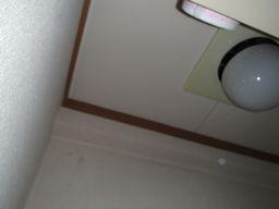 名古屋　事務所トイレ換気扇及び照明器具新規取付取替え交換工事画像