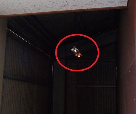 愛知県名古屋市 倉庫 照明器具不点調査修理工事画像