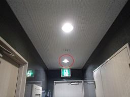 愛知県名古屋市 テナント事務所ビル共用廊下灯LEDダウンライト取替え交換工事画像