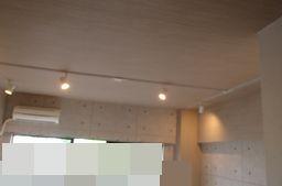 愛知県名古屋市 マンションアパート ライティングレール取付設置増設工事画像
