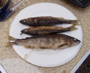 名古屋 バーベキュー 画像