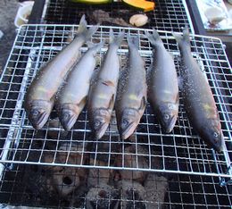 名古屋 バーベキュー 画像