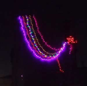 愛知県名古屋市 戸建て住宅 LEDイルミネーション 設置取付け交換工事画像